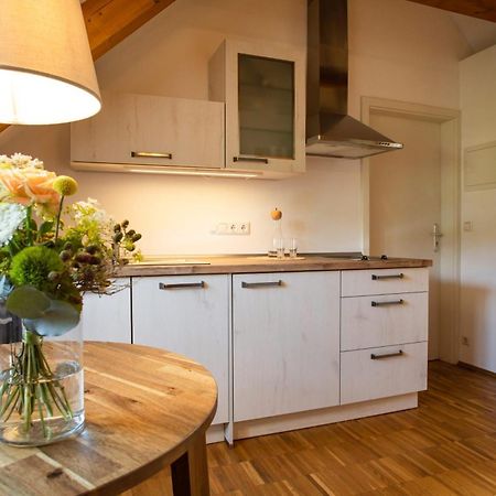 Villa Weingut Haus Steinbach à Radebeul Extérieur photo