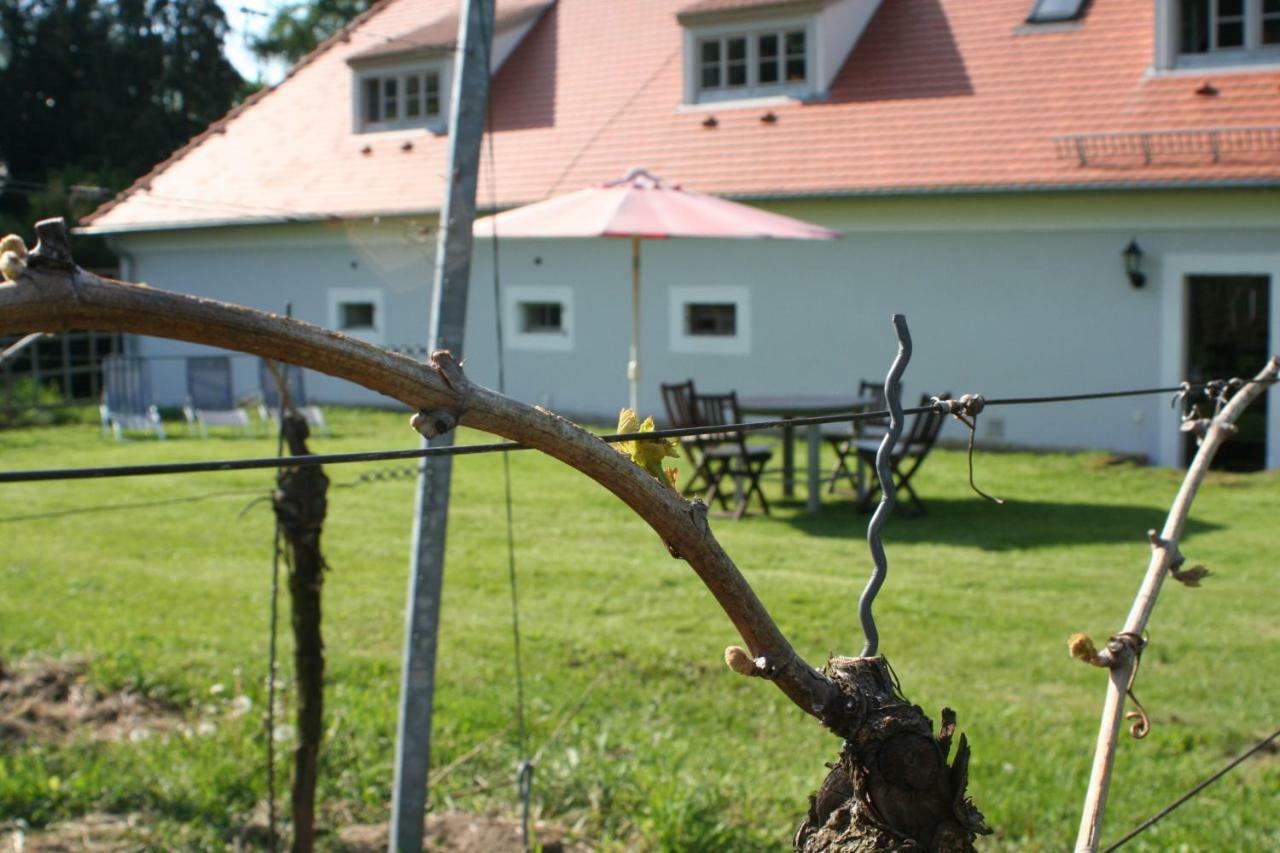Villa Weingut Haus Steinbach à Radebeul Extérieur photo